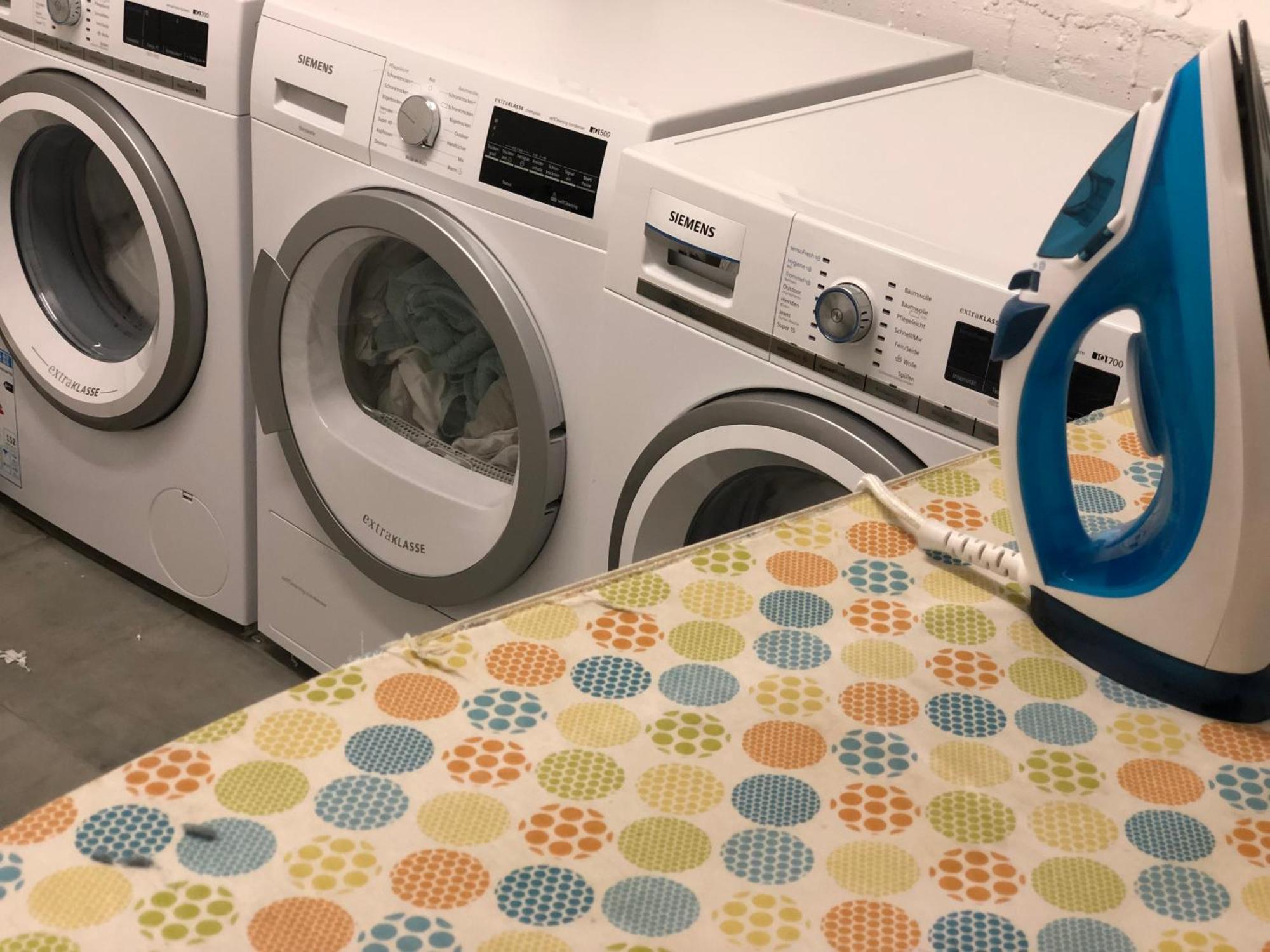 Dompanorama Der Kleine Dschungel Apartment Fuer 2-4 Pers 斯派尔 外观 照片