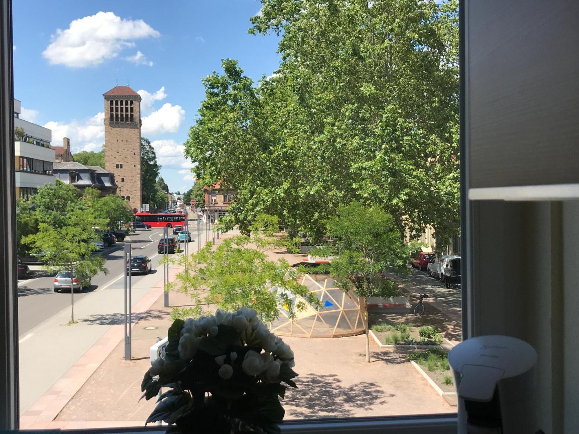 Dompanorama Der Kleine Dschungel Apartment Fuer 2-4 Pers 斯派尔 外观 照片
