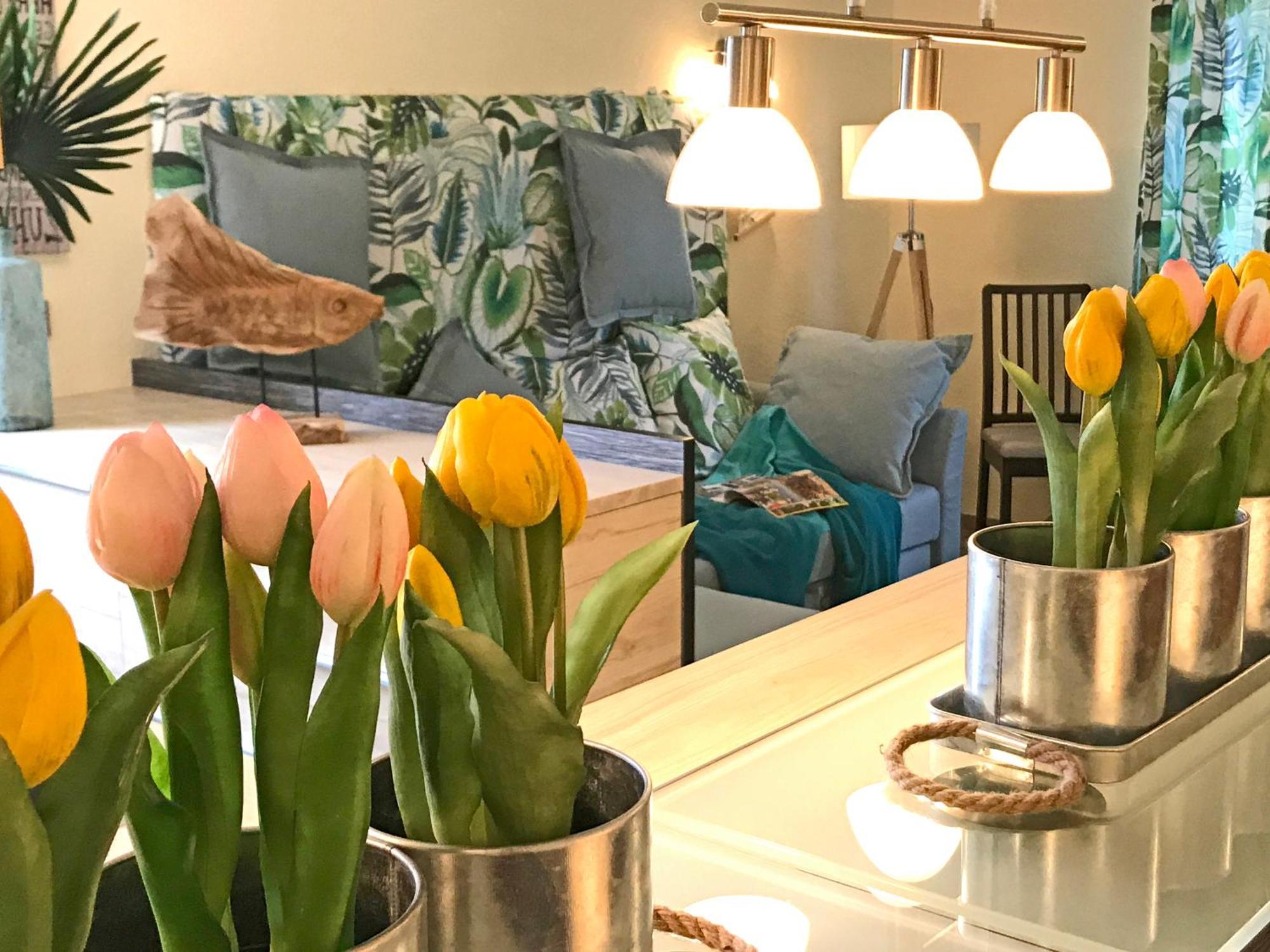 Dompanorama Der Kleine Dschungel Apartment Fuer 2-4 Pers 斯派尔 外观 照片